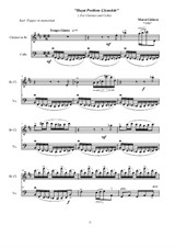 Pieces for Clarinet and Cello 'Hayat Problem Çözmektir'